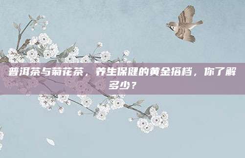 普洱茶与菊花茶，养生保健的黄金搭档，你了解多少？