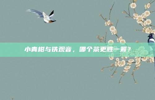 小青柑与铁观音,哪个茶更胜一筹?
