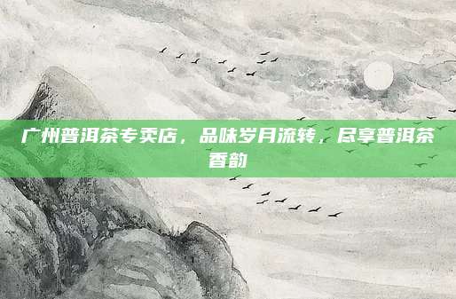 广州普洱茶专卖店，品味岁月流转，尽享普洱茶香韵