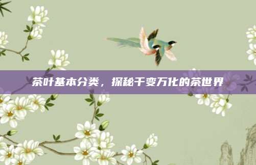 茶叶基本分类，探秘千变万化的茶世界