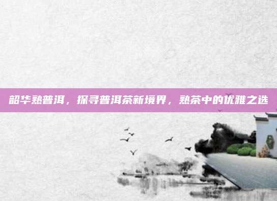 韶华熟普洱，探寻普洱茶新境界，熟茶中的优雅之选