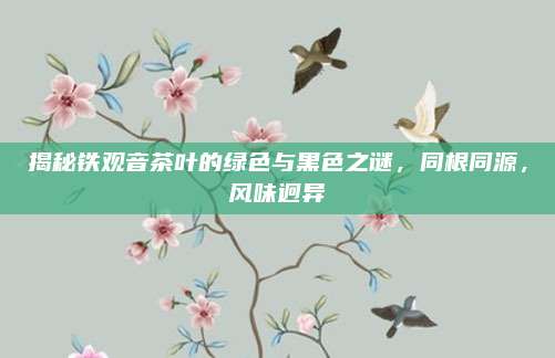 揭秘铁观音茶叶的绿色与黑色之谜，同根同源，风味迥异