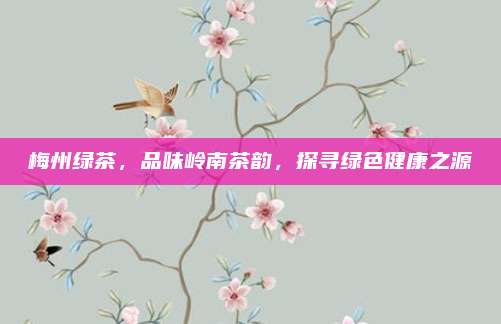 梅州绿茶，品味岭南茶韵，探寻绿色健康之源