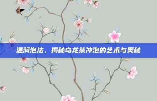 温润泡法，揭秘乌龙茶冲泡的艺术与奥秘