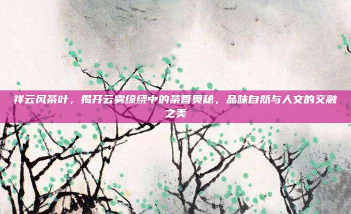 祥云风茶叶，揭开云雾缭绕中的茶香奥秘，品味自然与人文的交融之美