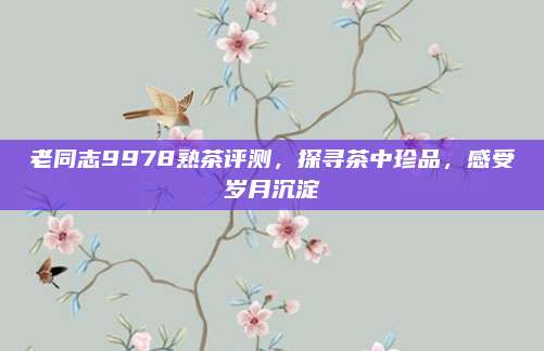 老同志9978熟茶评测，探寻茶中珍品，感受岁月沉淀