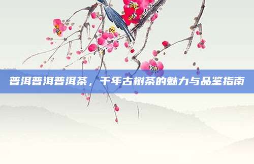 普洱普洱普洱茶,千年古树茶的魅力与品鉴指南