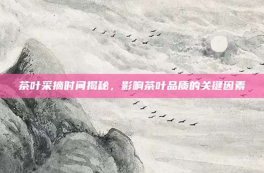 茶叶采摘时间揭秘,影响茶叶品质的关键因素
