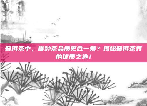 普洱茶中，哪种茶品质更胜一筹？揭秘普洱茶界的优质之选！