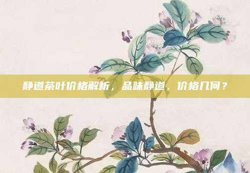 静道茶叶价格解析，品味静道，价格几何？