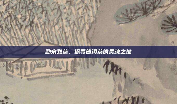 勐宋熟茶，探寻普洱茶的灵魂之地