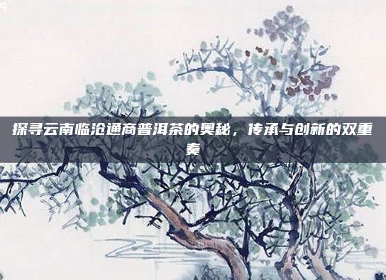 探寻云南临沧通商普洱茶的奥秘，传承与创新的双重奏