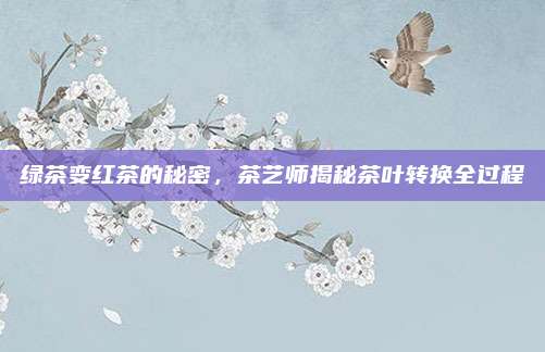绿茶变红茶的秘密，茶艺师揭秘茶叶转换全过程