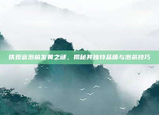 铁观音泡前发黄之谜，揭秘其独特品质与泡茶技巧