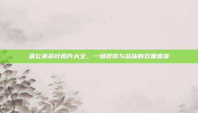 蒲公英茶叶图片大全，一场视觉与品味的双重盛宴