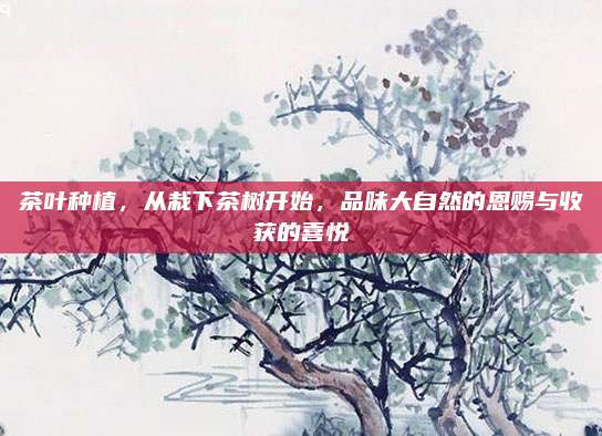 茶叶种植，从栽下茶树开始，品味大自然的恩赐与收获的喜悦