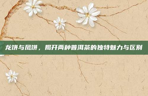 龙饼与凤饼，揭开两种普洱茶的独特魅力与区别