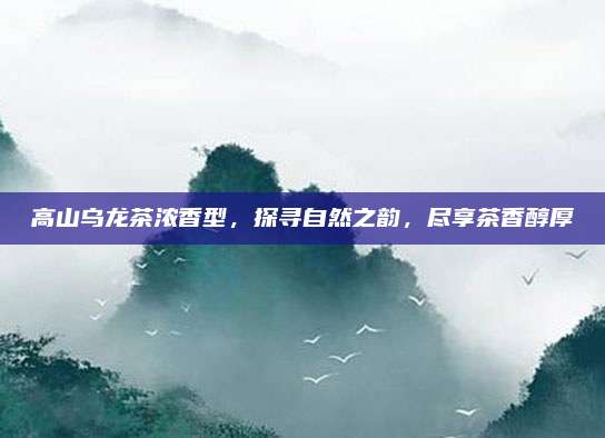 高山乌龙茶浓香型，探寻自然之韵，尽享茶香醇厚