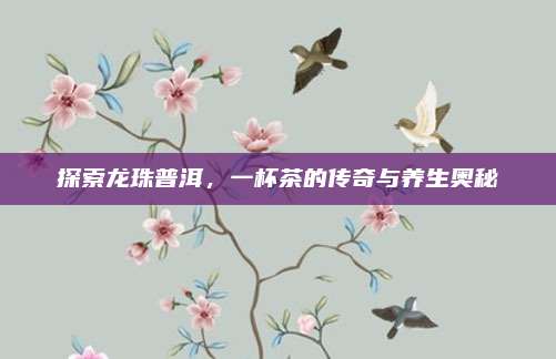 探索龙珠普洱，一杯茶的传奇与养生奥秘