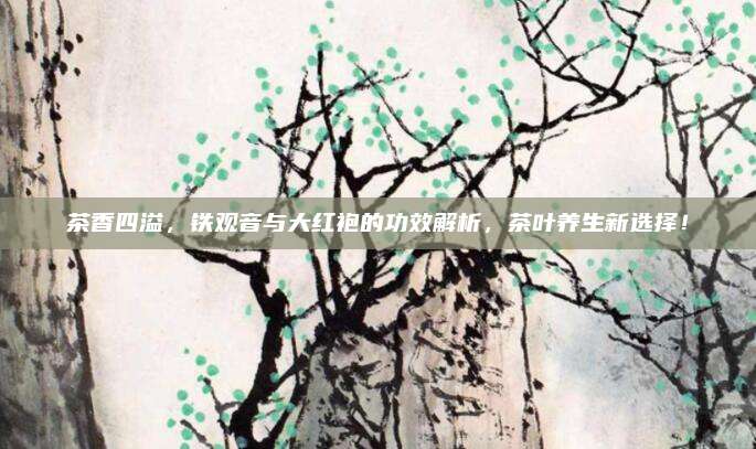 茶香四溢，铁观音与大红袍的功效解析，茶叶养生新选择！