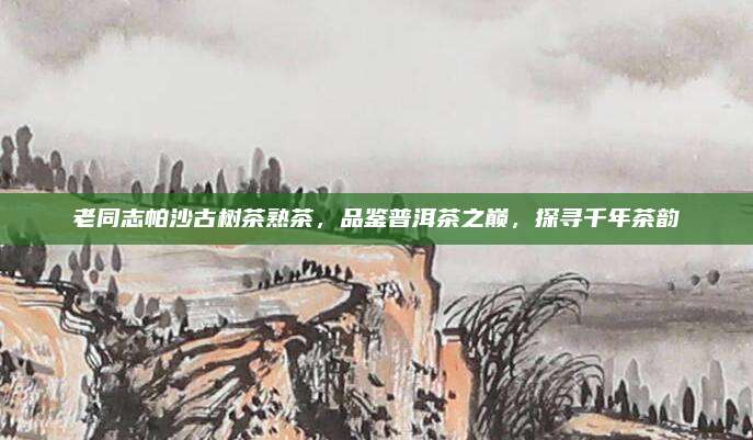 老同志帕沙古树茶熟茶,品鉴普洱茶之巅,探寻千年茶韵