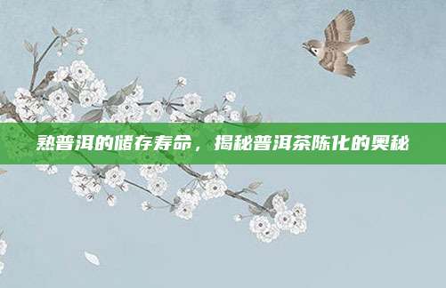 熟普洱的储存寿命,揭秘普洱茶陈化的奥秘