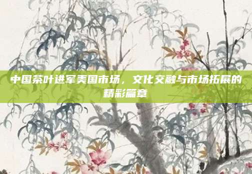 中国茶叶进军美国市场，文化交融与市场拓展的精彩篇章