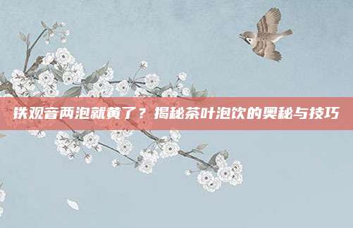 铁观音两泡就黄了？揭秘茶叶泡饮的奥秘与技巧