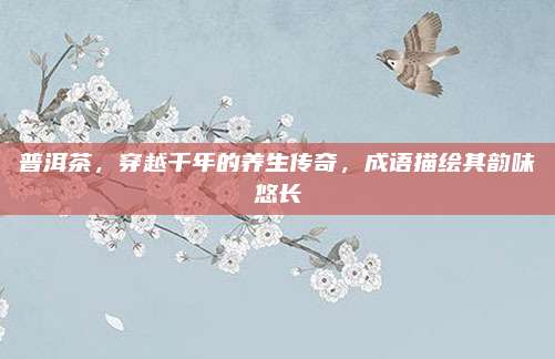 普洱茶，穿越千年的养生传奇，成语描绘其韵味悠长