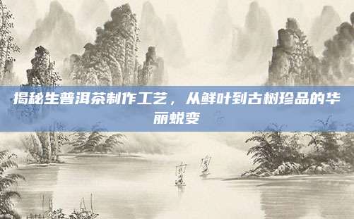 揭秘生普洱茶制作工艺，从鲜叶到古树珍品的华丽蜕变