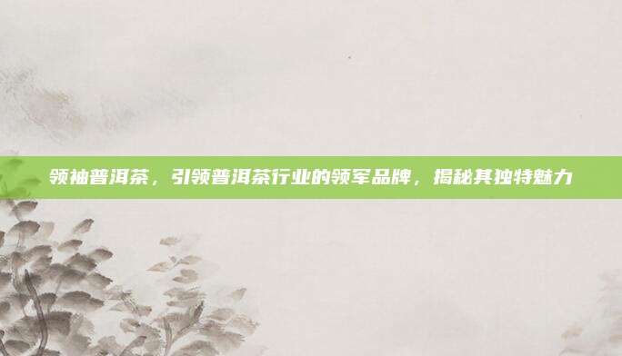 领袖普洱茶，引领普洱茶行业的领军品牌，揭秘其独特魅力