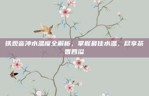 铁观音冲水温度全解析，掌握最佳水温，尽享茶香四溢