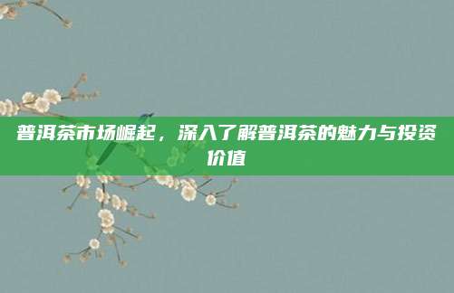 普洱茶市场崛起，深入了解普洱茶的魅力与投资价值