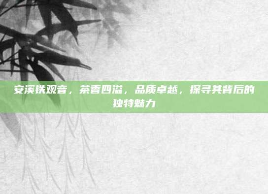 安溪铁观音，茶香四溢，品质卓越，探寻其背后的独特魅力