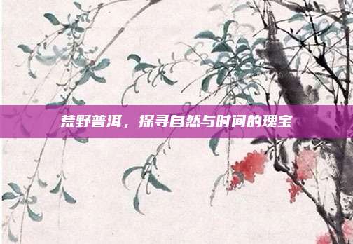 荒野普洱，探寻自然与时间的瑰宝