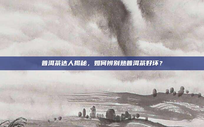 普洱茶达人揭秘,如何辨别熟普洱茶好坏?