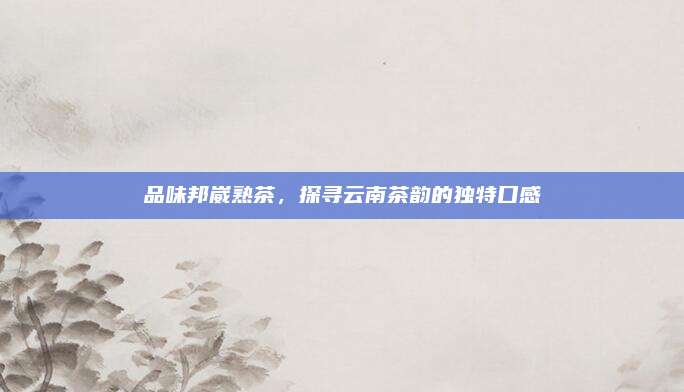 品味邦崴熟茶,探寻云南茶韵的独特口感