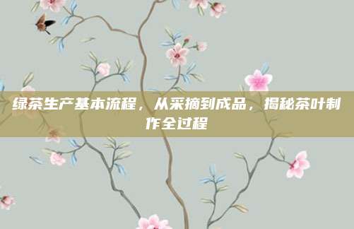 绿茶生产基本流程，从采摘到成品，揭秘茶叶制作全过程