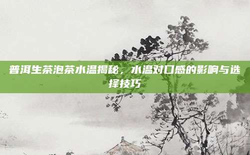 普洱生茶泡茶水温揭秘,水温对口感的影响与选择技巧