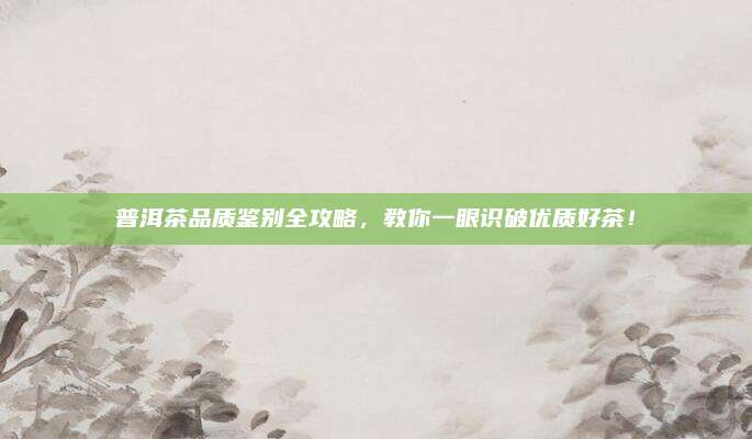 普洱茶品质鉴别全攻略，教你一眼识破优质好茶！