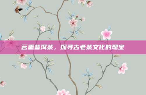 茗重普洱茶，探寻古老茶文化的瑰宝