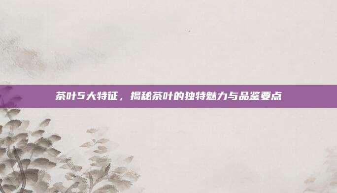 茶叶5大特征，揭秘茶叶的独特魅力与品鉴要点