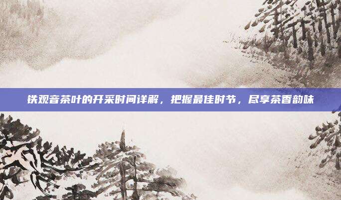 铁观音茶叶的开采时间详解，把握最佳时节，尽享茶香韵味