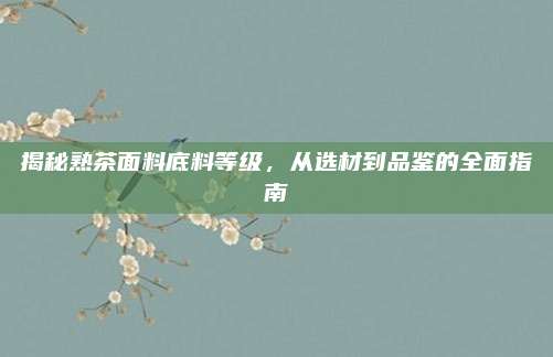 揭秘熟茶面料底料等级，从选材到品鉴的全面指南