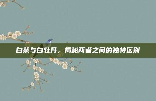 白茶与白牡丹，揭秘两者之间的独特区别