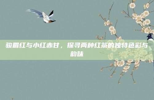 骏眉红与小红赤甘，探寻两种红茶的独特色彩与韵味