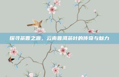 探寻茶香之源，云南普洱茶叶的传奇与魅力