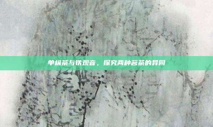 单枞茶与铁观音，探究两种茗茶的异同