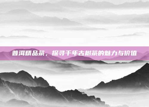 普洱精品茶,探寻千年古树茶的魅力与价值