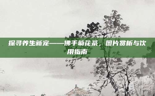 探寻养生新宠——佛手菊花茶,图片赏析与饮用指南